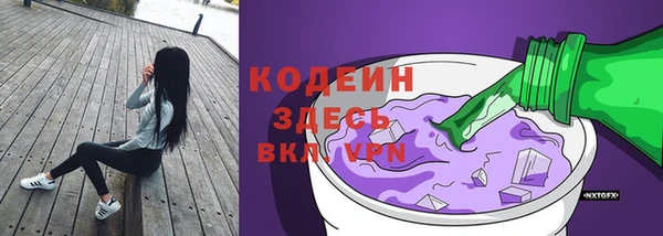 стаф Вязьма