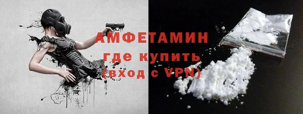 стаф Вязьма