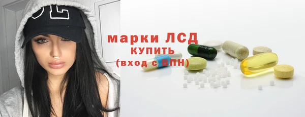 стаф Вязьма