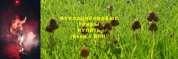 не бодяженный Вяземский