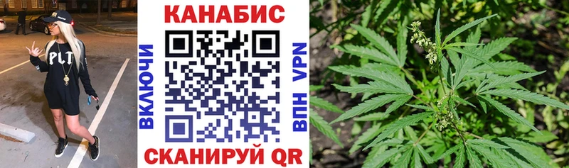 Конопля семена  Заозёрный 